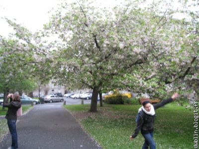 c'est juste pour montrer l'arbre en fleur..et Aline qui fait l'avion !